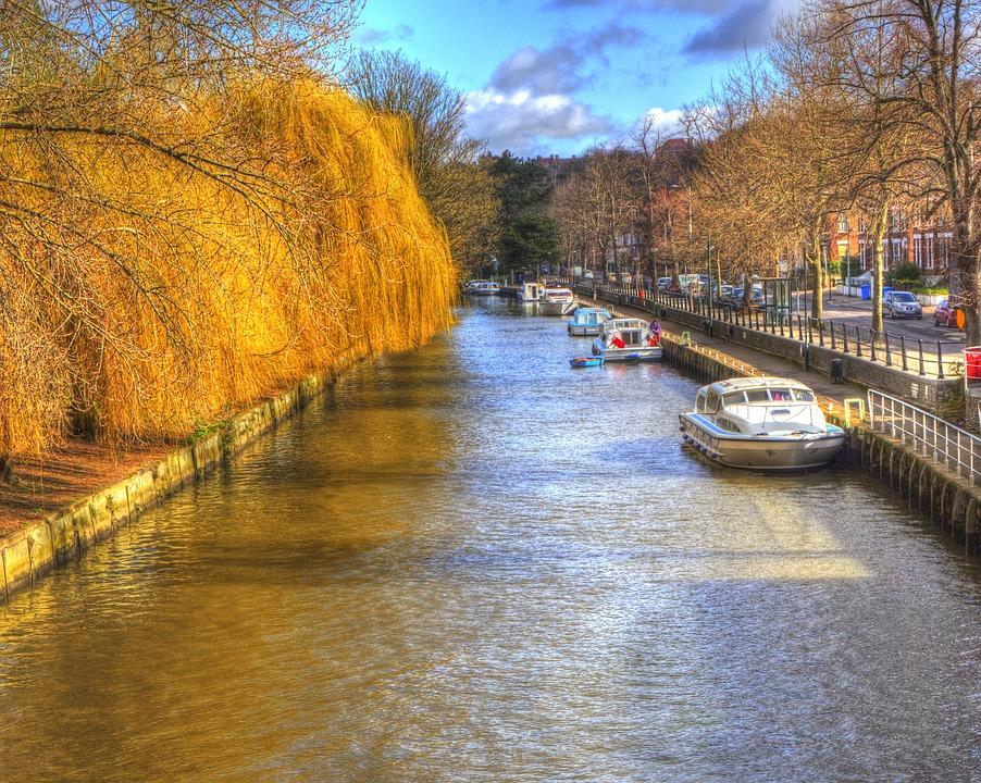 Top 10 Most Vegan-Friendly Cities in the UK [year]