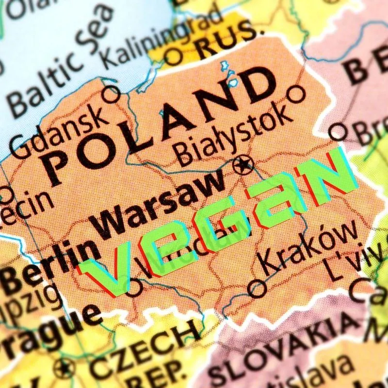 Top 10 Most Vegan Friendly Countries