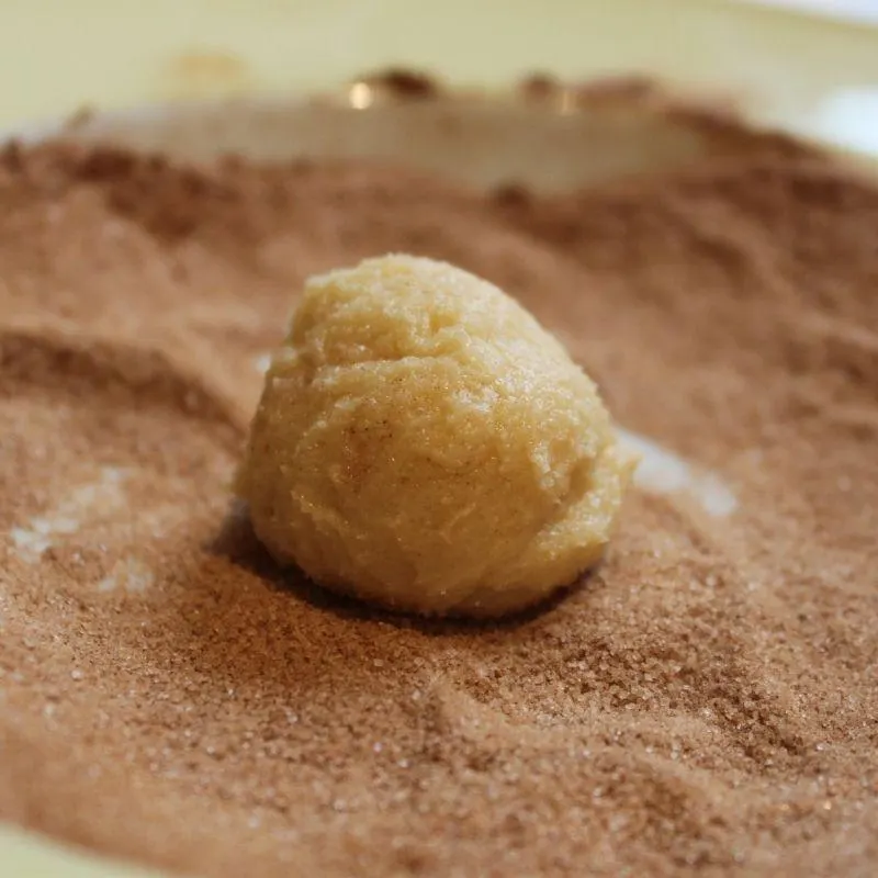 Vegan Gluten-Free Snickerdoodles Recipe
