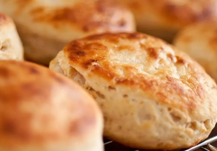 Easy Butter Biscuit Recipe Without Milk
