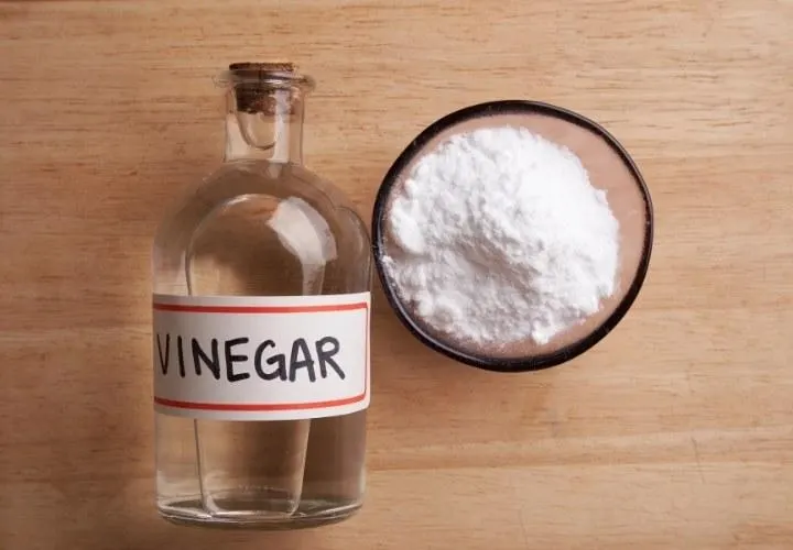 Top 10 Vegan Egg Substitutes