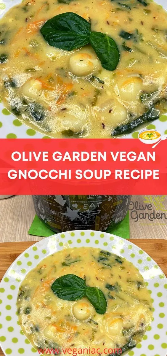 Olive Garden Vegan Gnocchi Soup Recipe