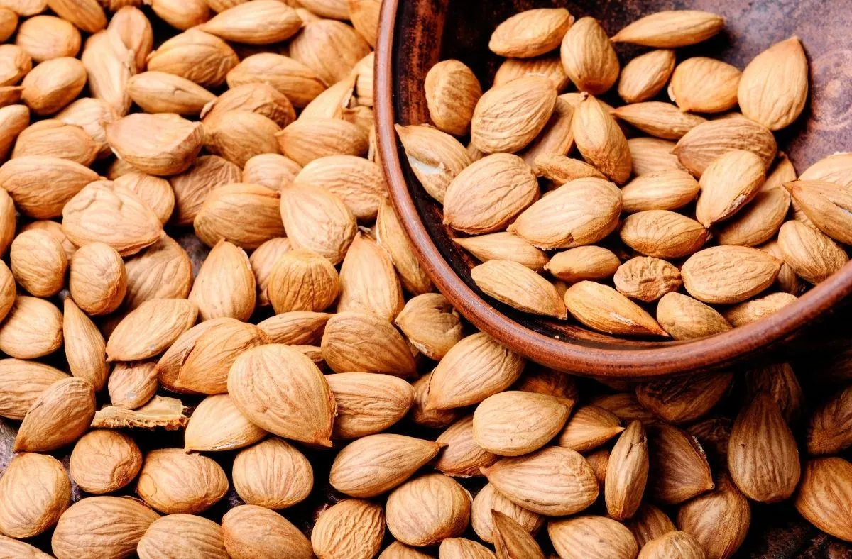 apricot kernels