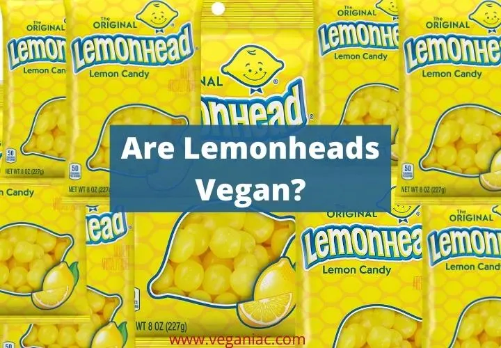 Are Lemonheads Vegan