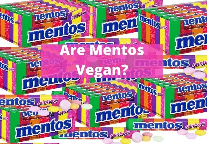 A roll of Mentos mints opened to show the white sweets inside