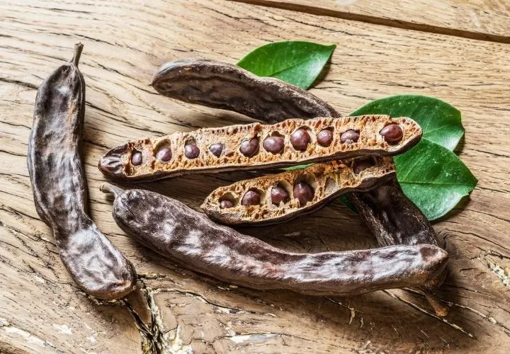 Easy Carob Pie Recipe