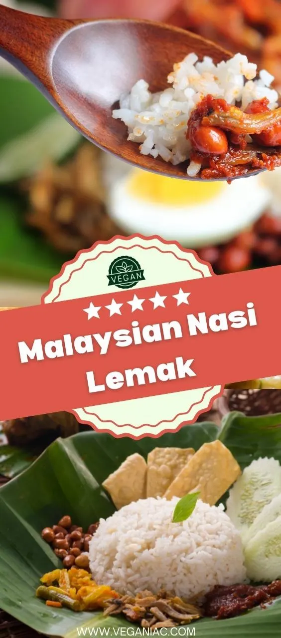 Malaysian Nasi Lemak (Easy Recipe)