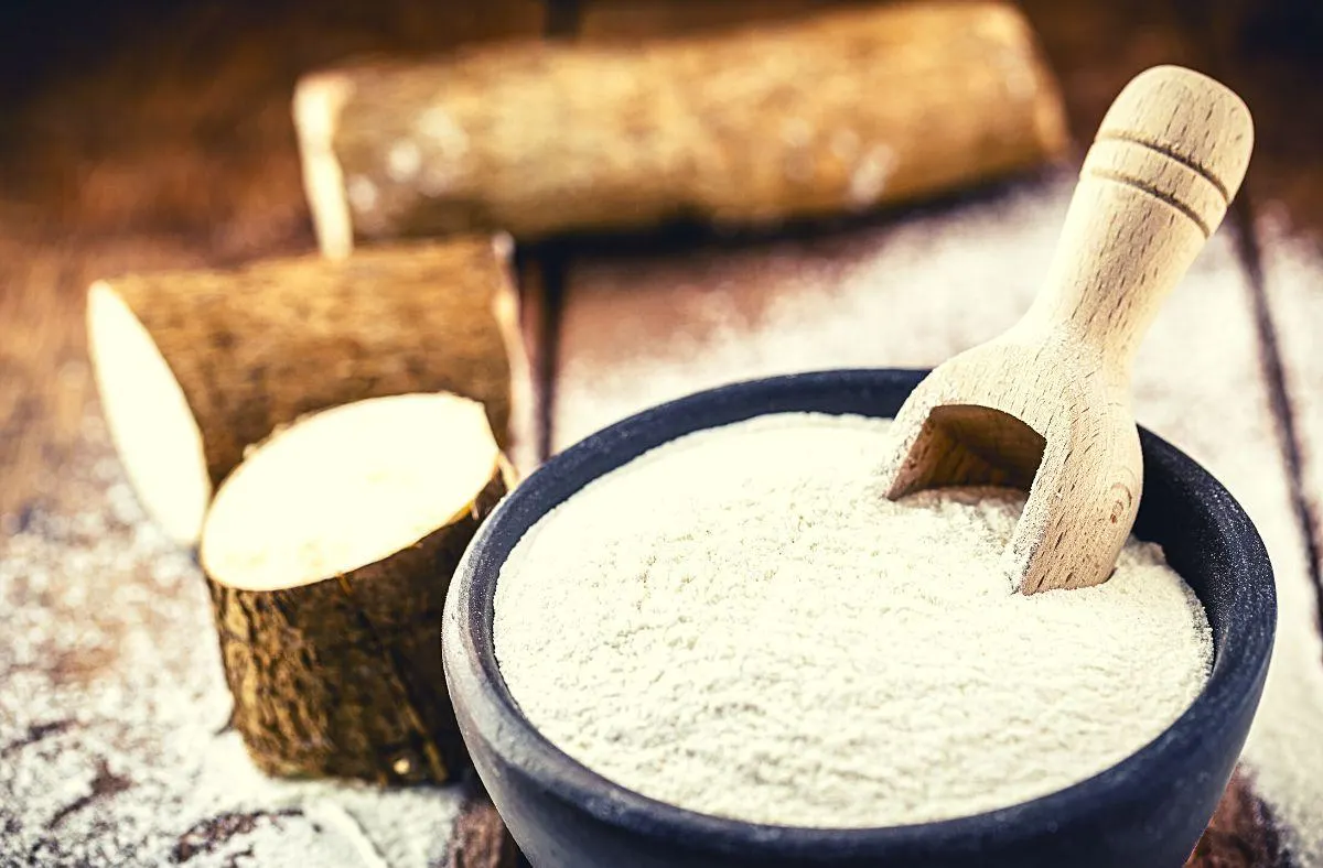 cassava flour