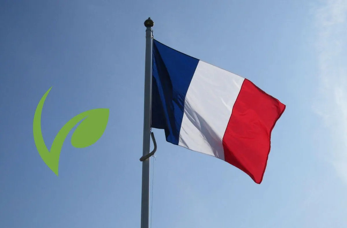 vegan in France