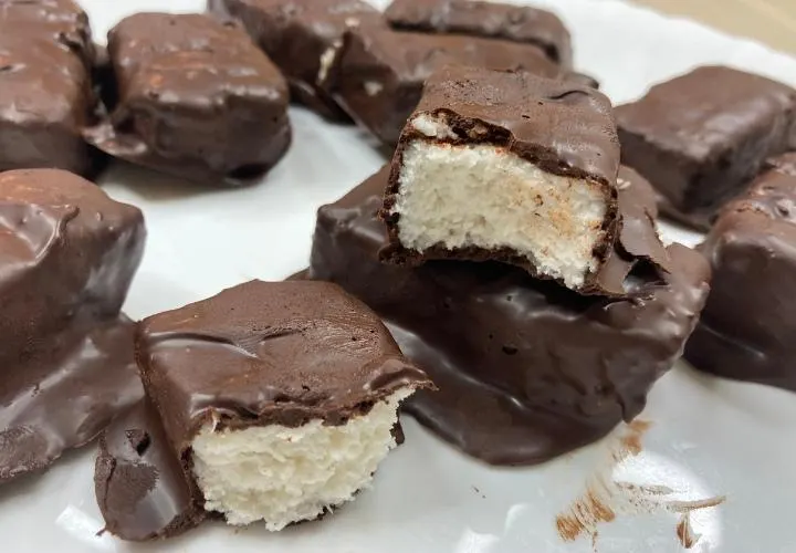Vegan Bounty Bars Copycat Recipe