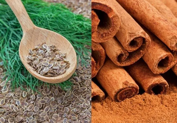 Substitute for Chinese Five Spice