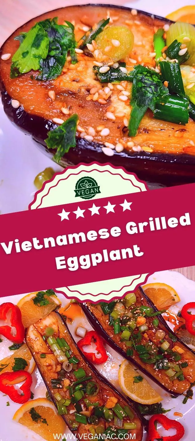 Vietnamese Grilled Eggplant