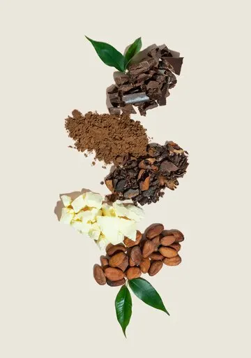 An arrangement of vegan chocolate ingredients, including cocoa beans, nibs, butter, powder, and shards, with green leaves on a beige background. A delicious guide for 2024's finest flavours.
