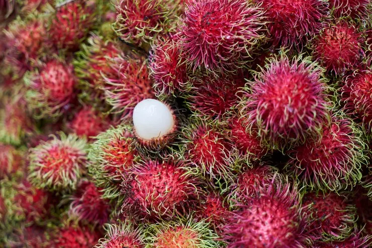 Fresh rambutan with red skin and soft green hairs, piled together