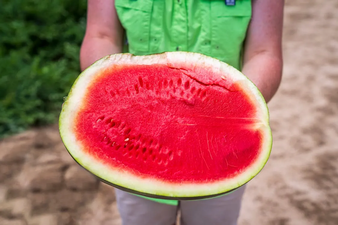 Why Are There Different Colours of Watermelon Inside?