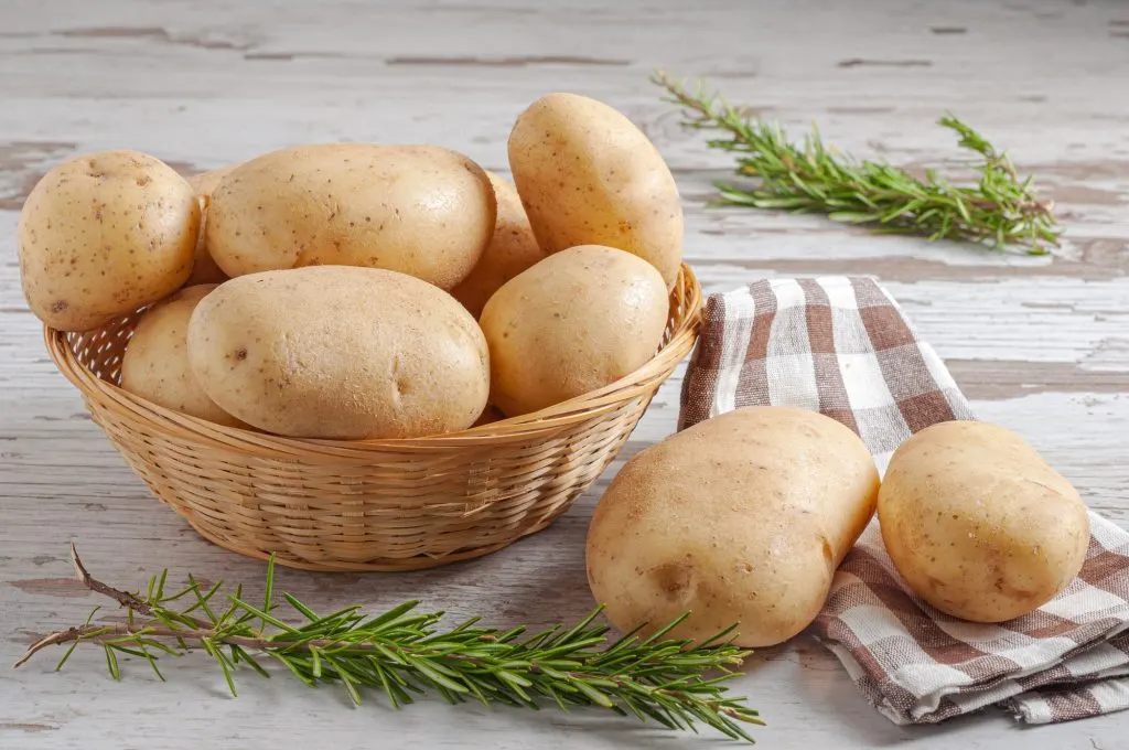 Raw Japanese sweet potatoes arranged in a basket with fresh rosemary, used as the base for a butterkäse potato vegan recipe