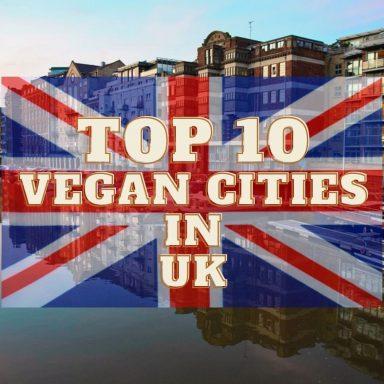 Top 10 Most Vegan Friendly Countries in 2021 - Veganiac