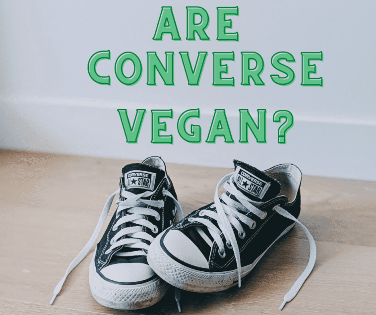 Are Converse Vegan? Definitive Answer in [year]! - Veganiac