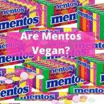 Are Mentos Vegan?