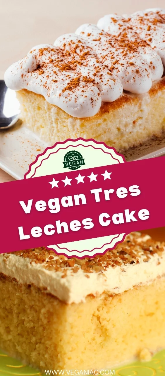 Vegan Tres Leches Cake Easy Recipe