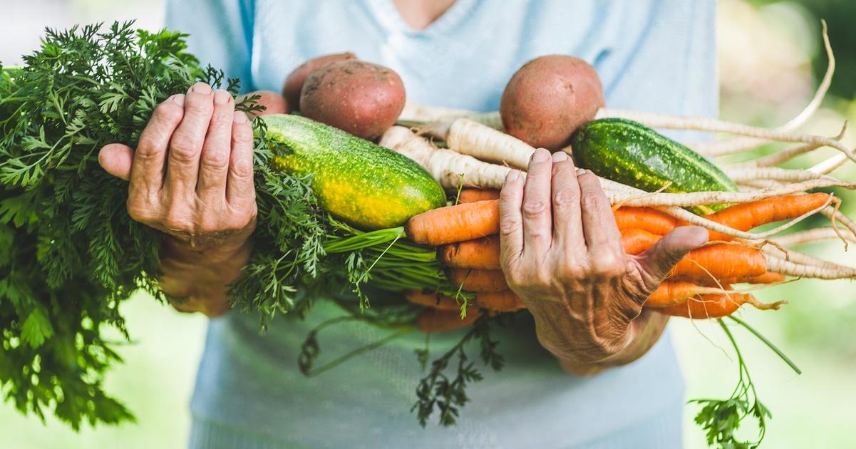 Is a Plant-Based Diet the Best for Senior Health?