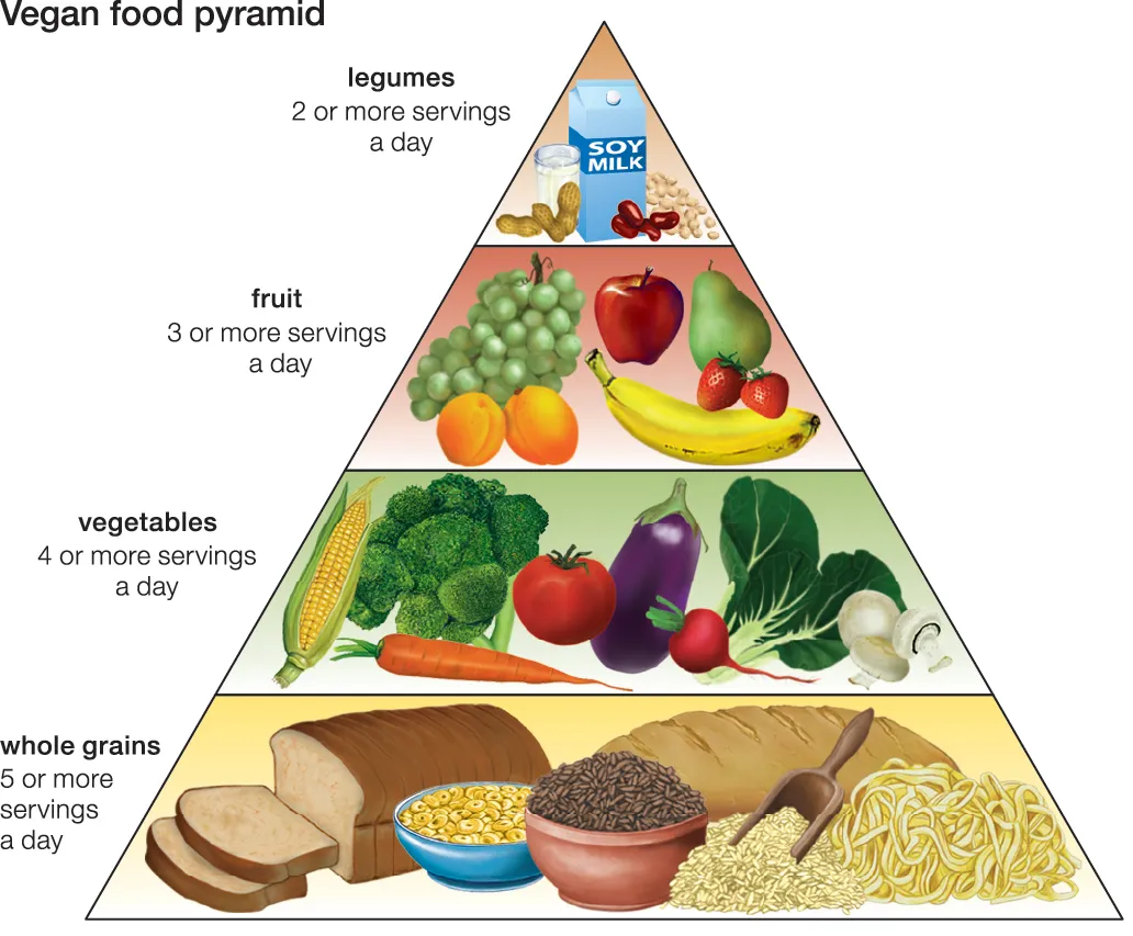 Illustration of a vegan food pyramid: The base highlights whole grains like bread and rice. Above are vegetables such as carrots and eggplant, followed by fruits including apples and bananas. At the top, you'll find legumes, soy milk, and nuts—key essentials for those looking to become vegan.