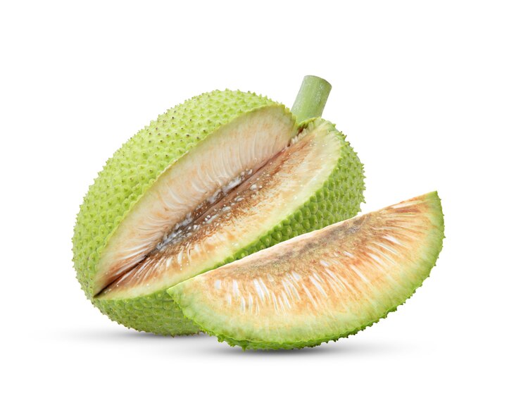 A close-up shot of a breadfruit, isolated against a plain background. The spiny fruit's rough, green skin and unique texture are clearly visible, highlighting its distinctive appearance.