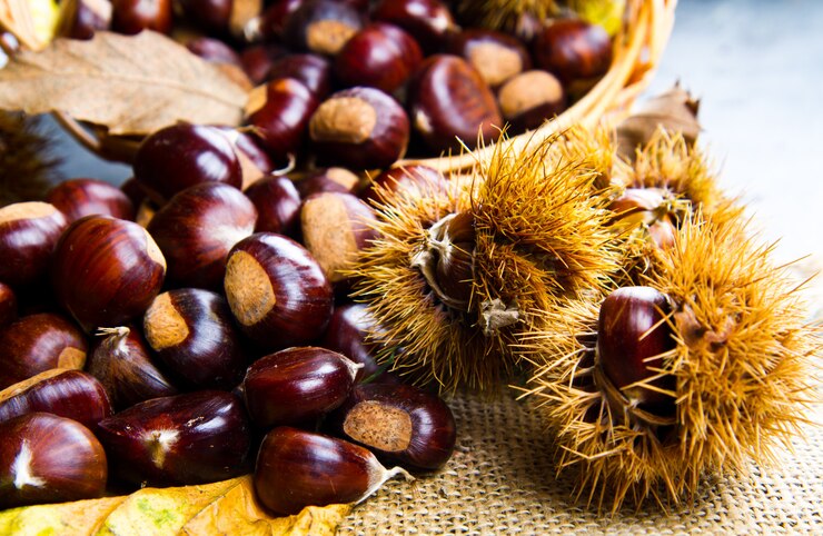 A close-up shot of a bowl filled with chestnuts. The chestnuts have a rich brown color and a glossy surface, emphasizing their freshness and natural beauty.