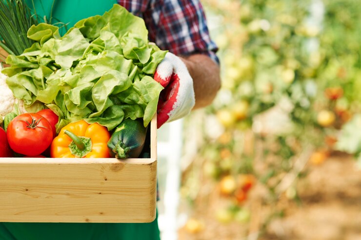 A person wearing gardening gloves holding a wooden box filled with fresh vegetables including lettuce, tomatoes, a yellow bell pepper, and a zucchini, with a blurred garden in the background.