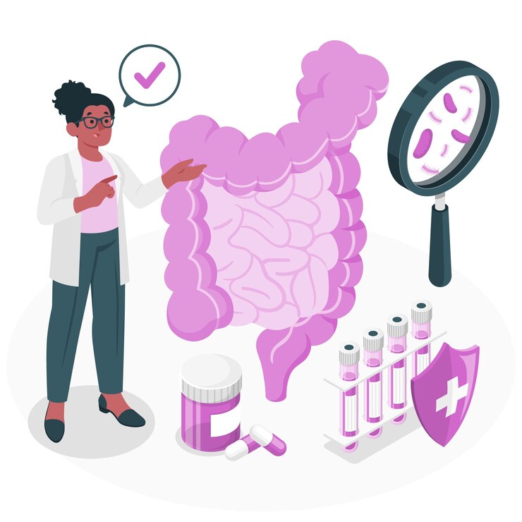 "Illustration of a female scientist or doctor pointing at a large model of the human digestive system. Nearby are test tubes, capsules, a magnifying glass showing bacteria, and a shield with a medical cross, symbolizing gut health research and probiotics."