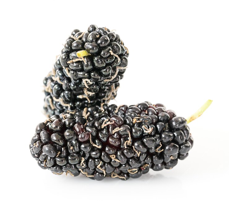 A close-up shot of mulberries isolated on a white background. The berries' deep red and black colors are vibrant, highlighting their juicy and textured appearance.