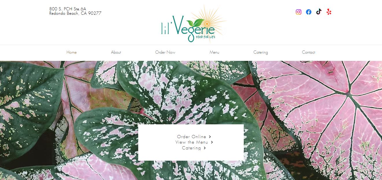 Visual representation of the Lil Vegerie in Los Angeles, CA's website, highlighting its modern layout and engaging plant-themed graphics for their vegan menu.