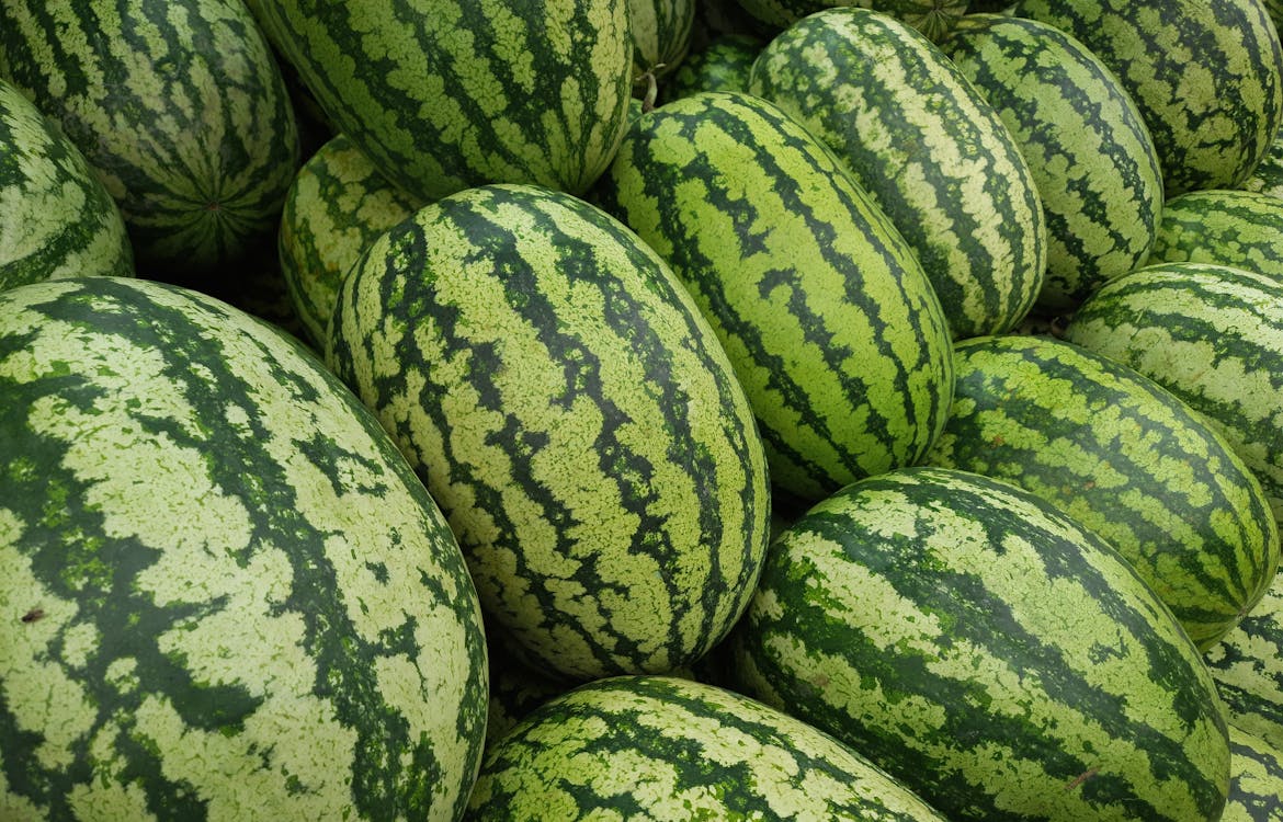 A vibrant display of various watermelons showcasing different colors of watermelon inside and textures, highlighting their unique characteristics.