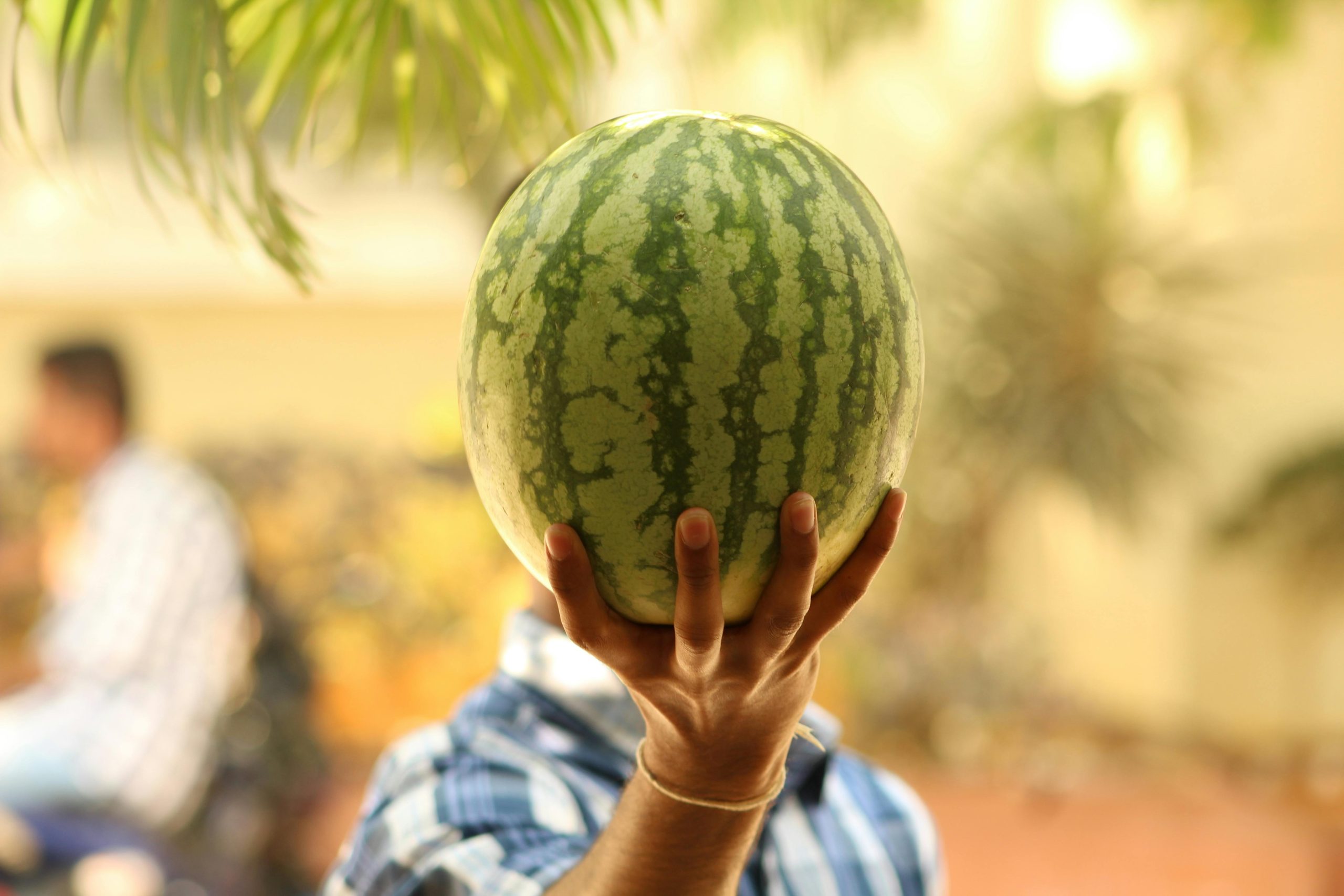 A person holds a watermelon in front of their face, showcasing the white interior of the fruit.